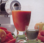 Omega 8004 Vegetable and Fruit Juicer