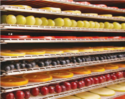 100% FDA Food Grade Stainless Steel Trays to Dehydrator all you fruits, vegetables and more! 