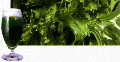 green.gif (6958 bytes)