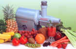The Champion Juicer SILVER COLOR